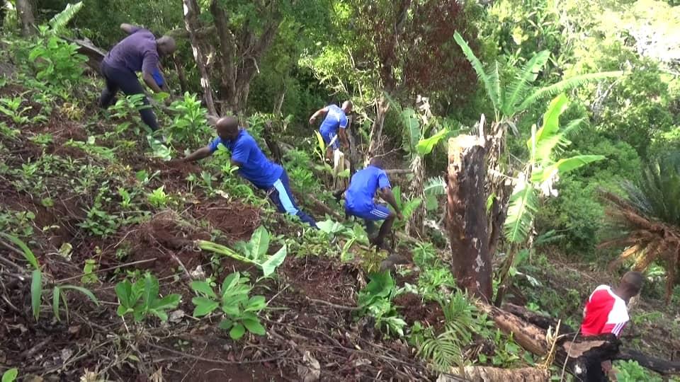 image La traque des destructeurs de la forêt se poursuit à Mohéli